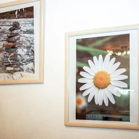 Pircher By Interhome Appartamento